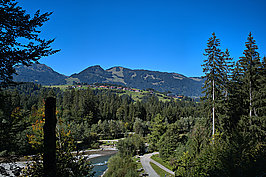 Fischen Rubi (2v9)_t.jpg